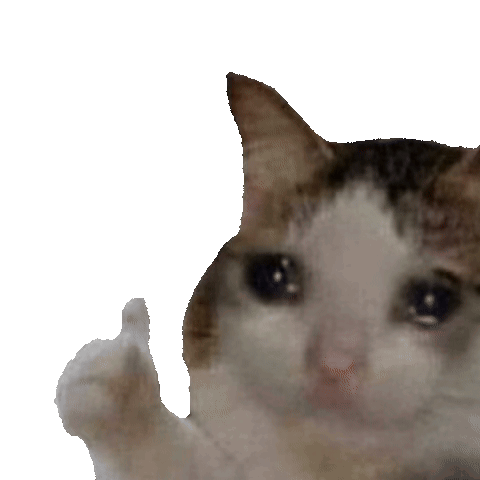 It's Ok cat